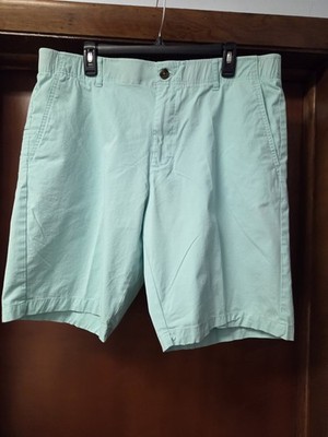 Architect Active Flex Munt Green Men's Walking Shorts Size 38