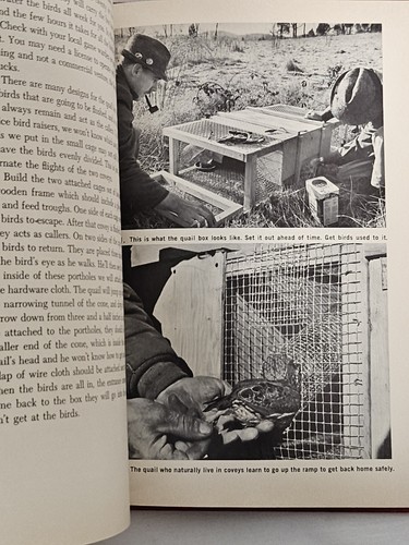 Gun Dog By Richard A. Wolters. Revolutionary Rapid Training Method. Sport Dogs. - Picture 11 of 19