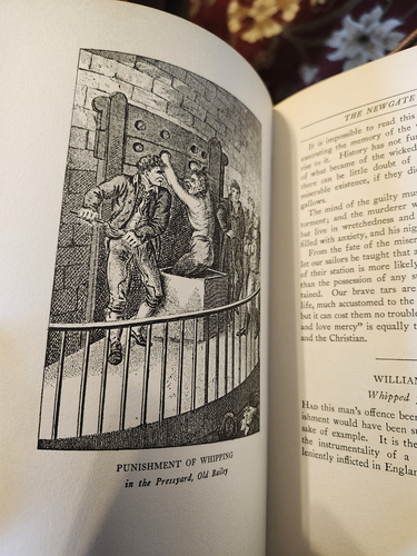 Newgate Kalender, Geschichte des Verbrechens/Verbrecher in England, von Mitchell, 1926, 1. - Bild 5 von 6