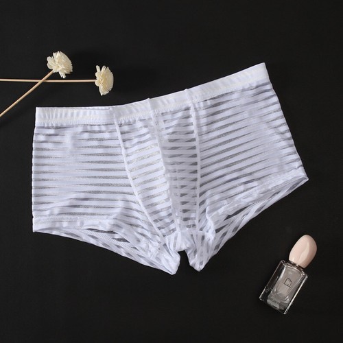 Hot 2Pc Mens Mesh Striped Boxer Briefs Underpants Breathable See Through Soft - Picture 9 of 17