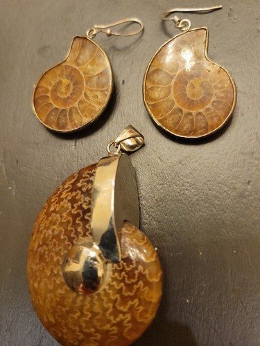 Sterling Silver 925 & Fossilized Sea Shell Earrings & Pendant - Picture 2 of 8
