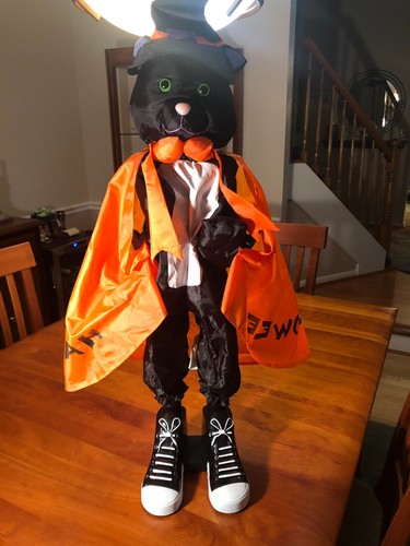 RARE Gemmy Halloween Motion Animated Treater Greeter Friendly Cat CUTE & WORKS