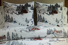 *Pottery Barn Whistler Run Forest EURO Sham (1)