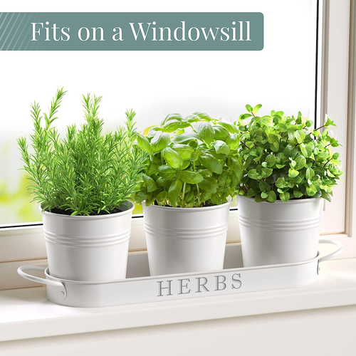 Indoor Herb Garden Planter Set with Tray, Metal Windowsill Plant Pots with Drain - Picture 3 of 12