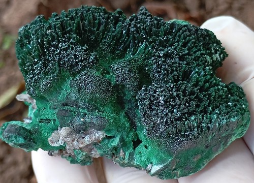 Chrysokoll Malachit und Quarz - Mashamba West Mine DRC Kongo - Bild 9 von 12