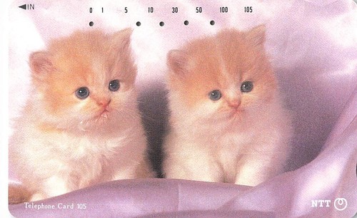 Cat cats NTT Japanese Phone Cards 1980s - 1990s Kawaii photo Used Set of 6 - Picture 4 of 15