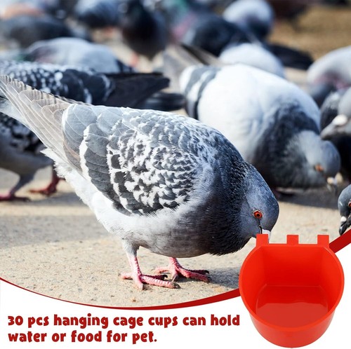 5/20x Bird Cage Feeding Cup Chicken Seed Bowl Hanging Parrot Food Tray Seed Bowl - Picture 10 of 12