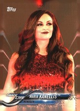 2018 Topps WWE base, inserts, and bronze - PYC -  complete your set