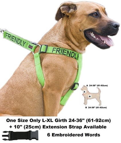 Strong As Leather Staffy Staff Staffie Dogs Harness Lead Leash Collar Or Sets - Picture 48 of 81