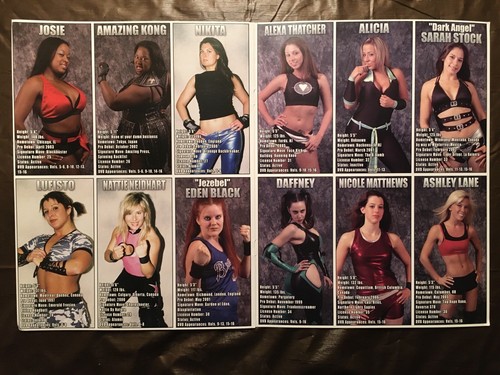 SHIMMER 2005-2007 Roster Album Women’s Pro Wrestling WWE ROH AEW Impact - Bild 4 von 5