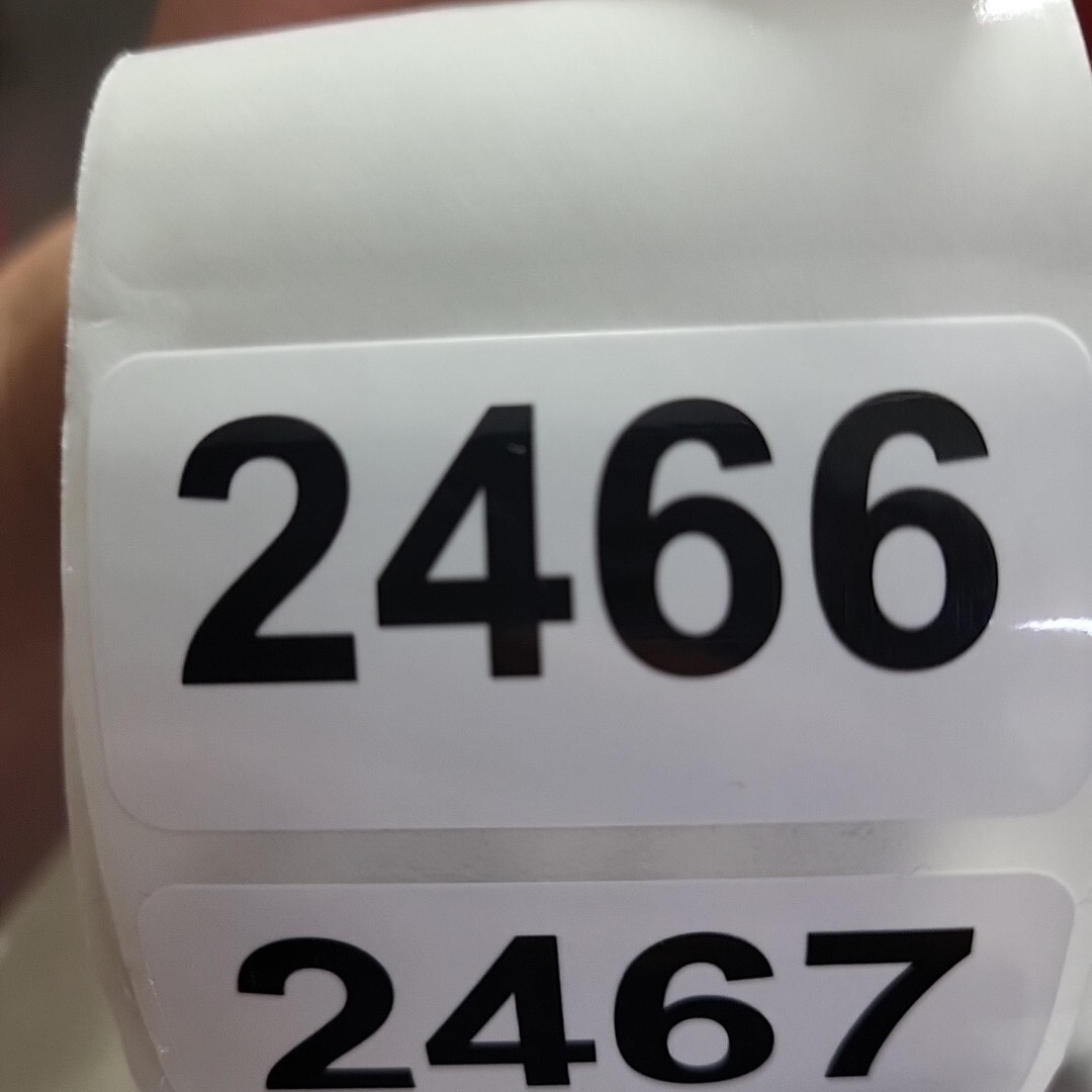 House Of Sunny Pink Snake skin Trouser Pants With Waist Tie Womens Sz 6