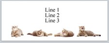 Personalized Address Labels Row of Cute Cats Jx 539 