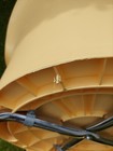 Bild 12 von 12