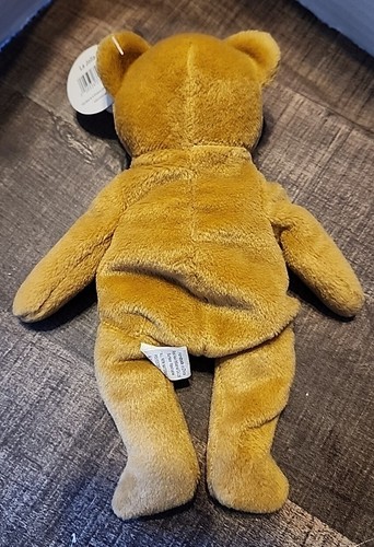 Hard Rock Cafe La Jolla Isaac Beara Stuffed Bear Plush 8" with tag. Hard To Find - Picture 6 of 6
