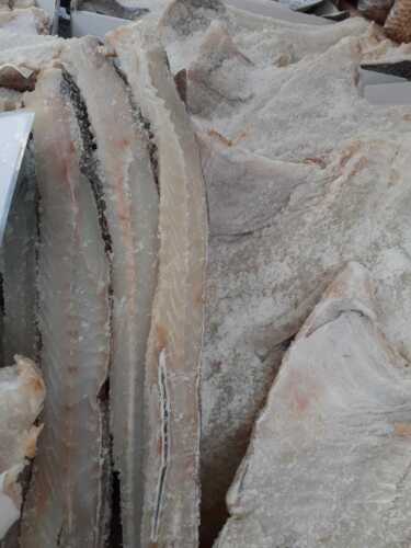 5 KG BACCALA' FAROESE ISLANDESE SALINATO ALA INTERA ALTA QUALITA STOCCAFISSO - Foto 2 di 3