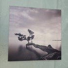 Tree Branch Hanging Above The Water Wall Art Sign Home Decor