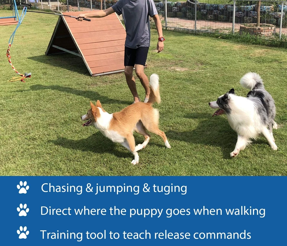 Juguete interactivo de poste de coqueteo para perros persecución y tira y afloja, varita teaser duradera... Foto 3 de 4