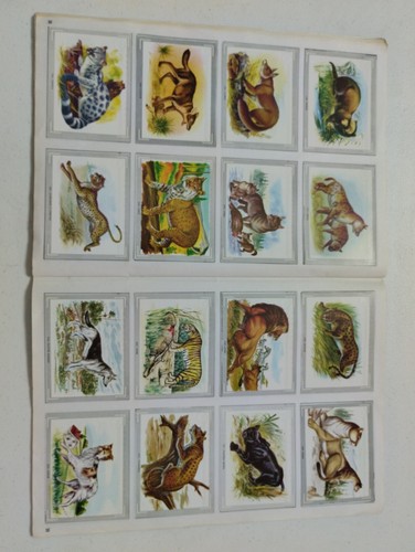 Album NATURALEZA Y COLOR.Completo - Imagen 3 de 8