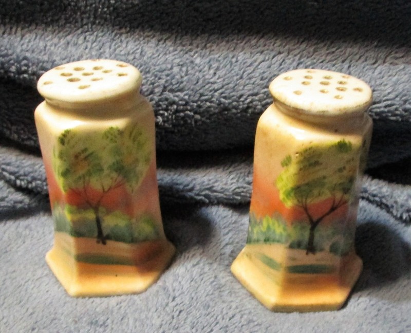 Vintage Nippon Hand-painted Hexagonal Salt & Pepper Shakers