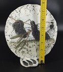 Foto 9 di 11
