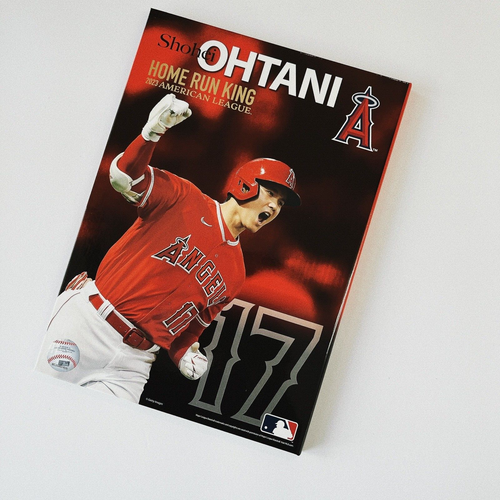 Shohei Ohtani 2023 Home Run Championship Commemoration Premium Goods Set - Picture 6 of 16