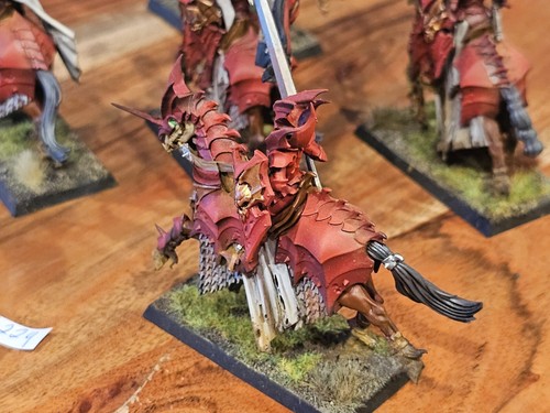 Warhammer Fantasy AOS Soulblight Gravelords Blood Knights Pro LIVELLO lavoro di pittura x5 - Foto 24 di 24