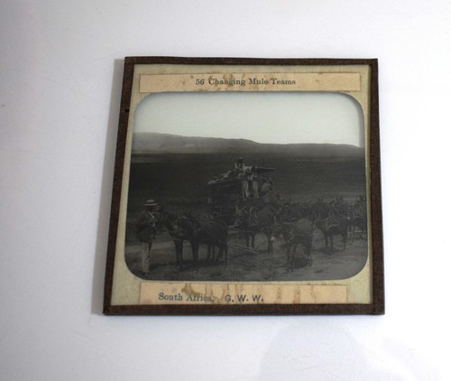 STAGECOACH CHANGING MULE TEAMS SOUTH AFRICA C1896 Magic Lantern Slide GWW PHOTO - Picture 2 of 3