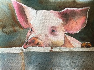 Download Pig Watercolor Print Art Collectibles Painting Kientructhanhdat Com