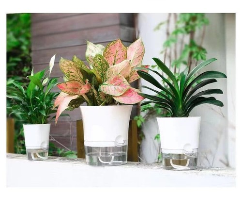 Self Watering Plant Pots with Drainage Holes, Indoor or Outdoor Garden Plants - Picture 10 of 10