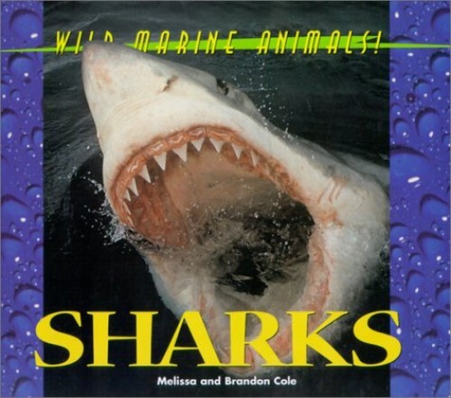 Sharks (Wild marine animals), Cole, Melissa S - Imagen 1 de 2