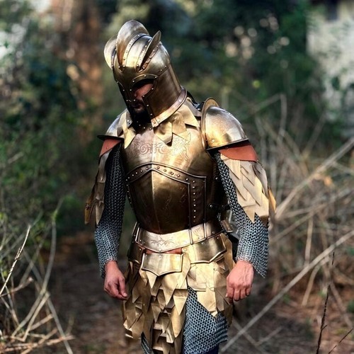 Wearable Medieval Half Body Armour Anton Peffenhauser's Competition Armour Suit - Imagen 6 de 7
