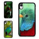 Anti scratch Cover For iPhone XS 11 12 13 14 15 16 Pro Max Quetzal Of Guatemala