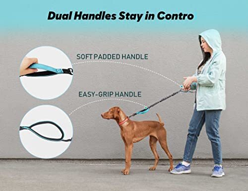 Hands Free Dog Leash, Double Dog Leash, Waist Dog Running Leash for Blue - Picture 4 of 8