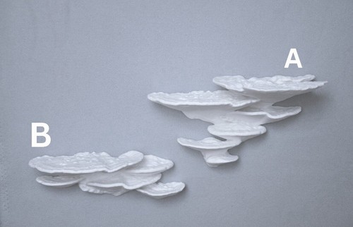 Mushroom Shelves Cottage Core Room Decor