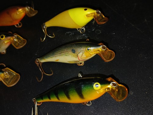 SELTENE CHART ROTE FARBE & ANDERE Rapala Shad Raps SR-5 Sr5 SSR5 Menge 7 FLACH - Bild 7 von 12