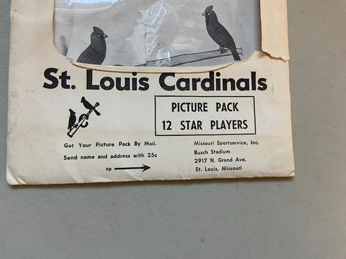 1965 St. Louis Cardinals Complete 12 Player Picture Pack Photo Set Bob Gibson ++ - Picture 8 of 9