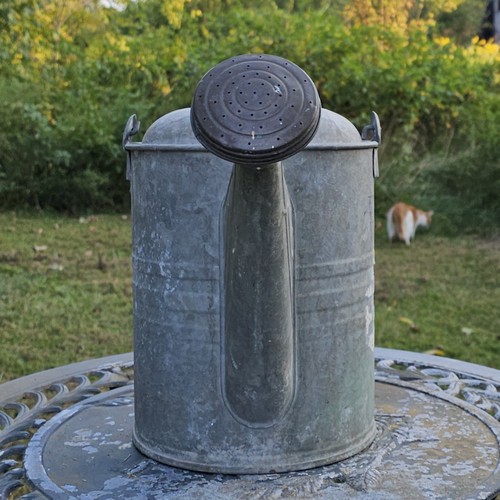 Vintage Galvanized 9 Qt Watering Can with Sprinkle Head And Wooden Handle Grip - Bild 13 von 19