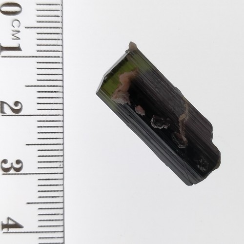 Tourmaline green cap bicolor Elbaite terminated crystal specimen StakNala 22.8ct - Picture 5 of 7