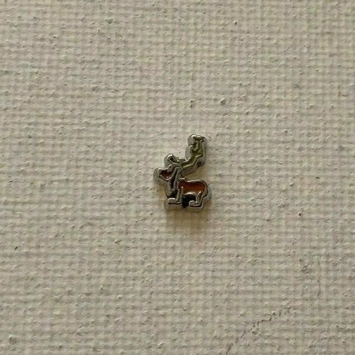 Floating Charms for Living Memory Charm Lockets - Picture 6 of 49