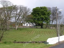 Photo 6x4 Trees in Lagavulin  c2010