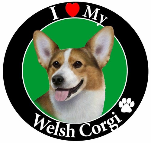 Dog Car Magnet Round - various dog breeds - Picture 11 of 37