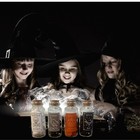 Bild 9 von 11