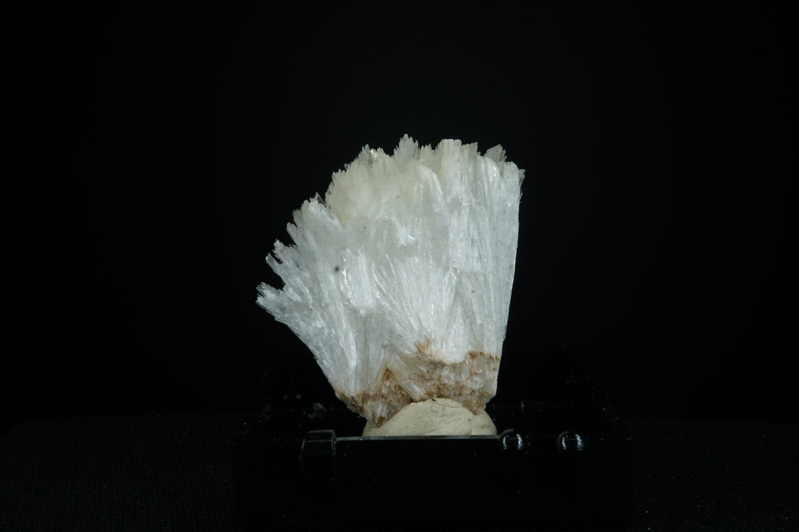 Picture 3 of 3