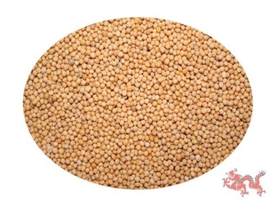 Senfsaat gelb 1kg Senf Körner 1000g ganz AZX721 Premium Qualität vom Fachhändler