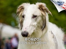 Borzoi Dog Breed Calendar 2026 12x18 Made in USA