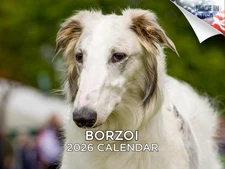 Borzoi Dog Breed Calendar 2026 12x18 Made in USA