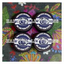 4 Piece College University PENN STATE Focal Beads DIY Jewelry Pens LIONSl