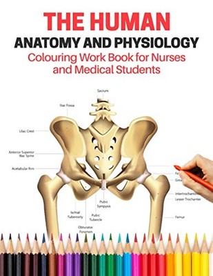 The Human Anatomy and Physiology Co..., Morgan, Dr. Ray