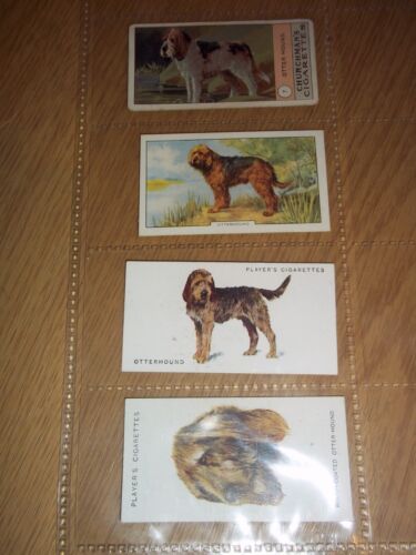 OTTERHOUND HUNTING DOG ANTIQUE VINTAGE CIGARETTE CARDS - x 4