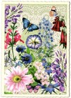 Bild 33 von 82